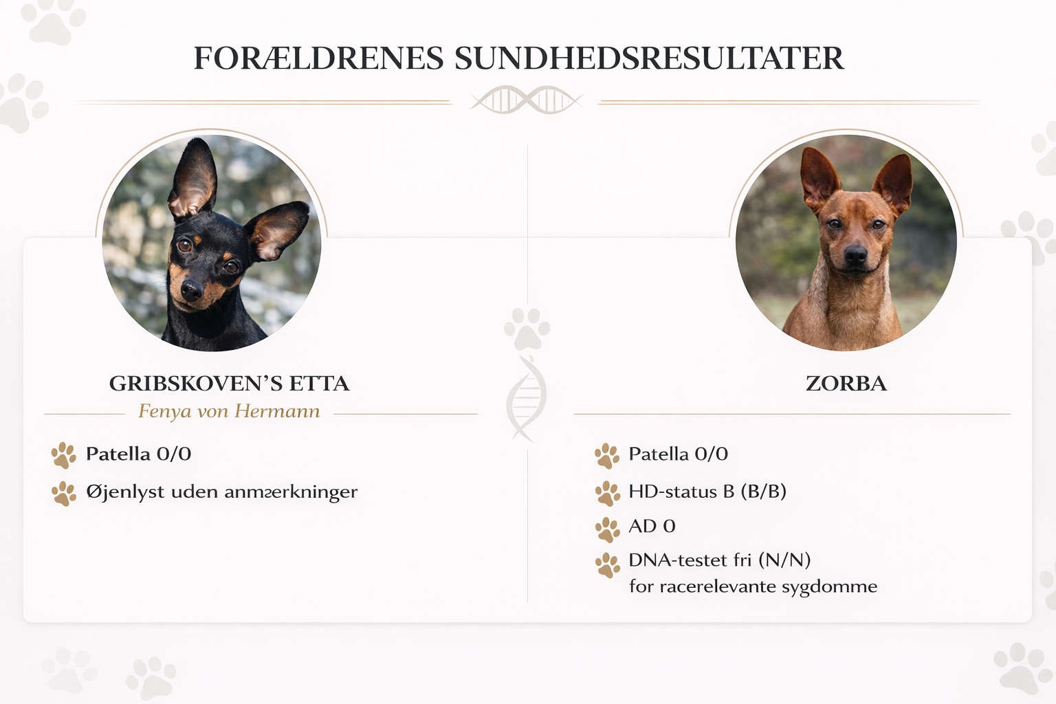 Sundhedsresultaterne er registret ved Dansk kennel klub