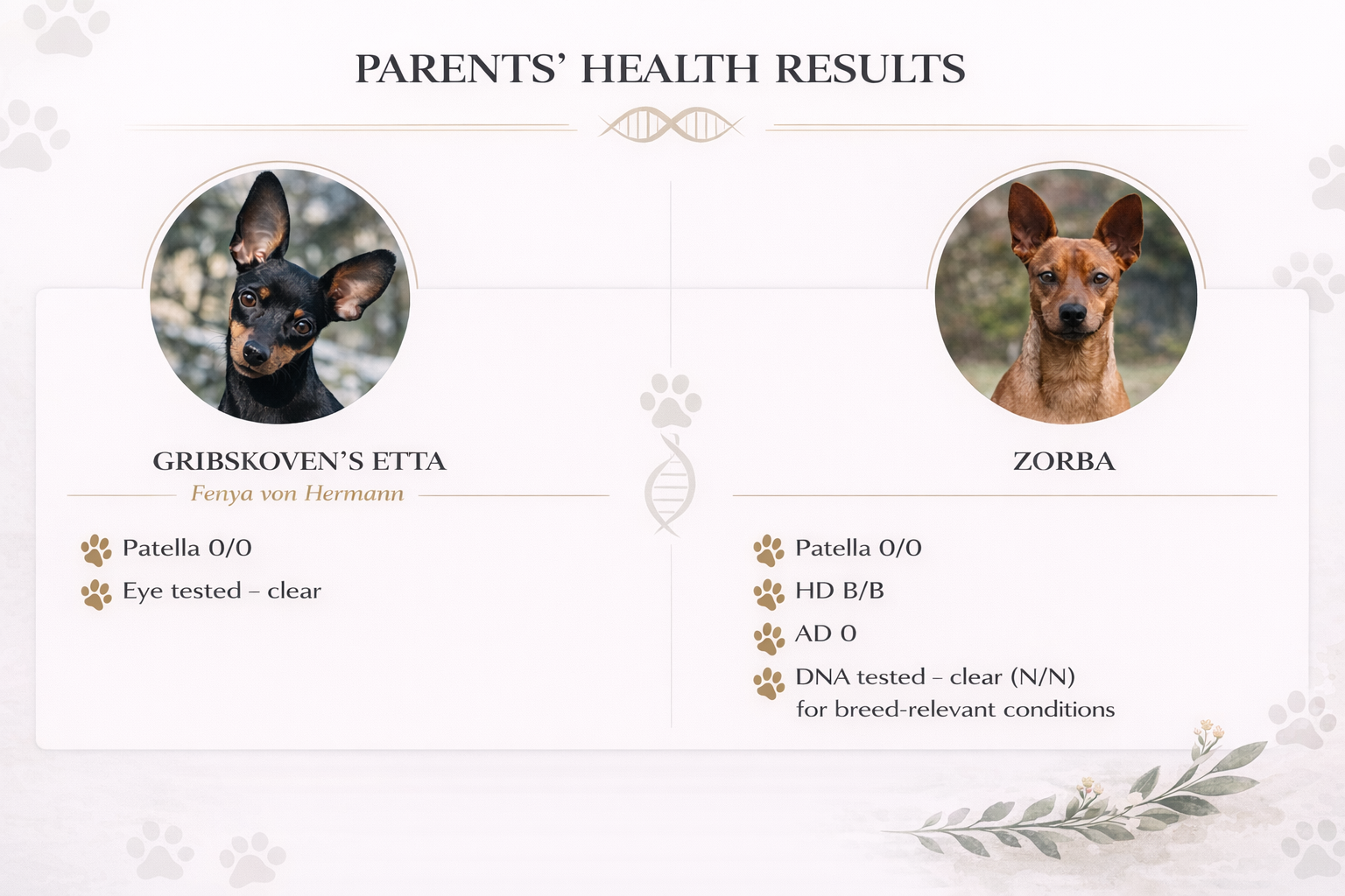 The results are registred at the Danish kennel club